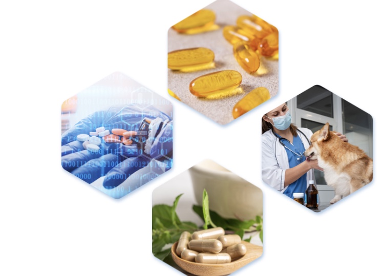 Pharmaceutical